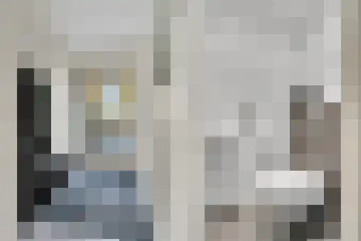 Kamperfoelie 3 Nijverdal thumbnail 14