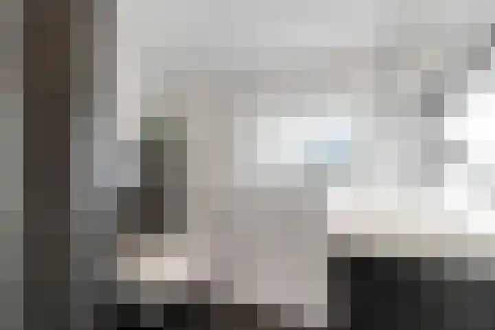 Kamperfoelie 3 Nijverdal thumbnail 21