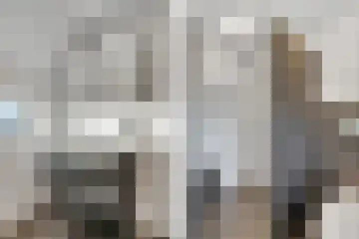 Kamperfoelie 3 Nijverdal thumbnail 22