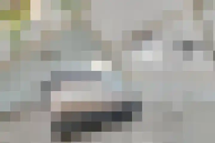 Kamperfoelie 3 Nijverdal thumbnail 23