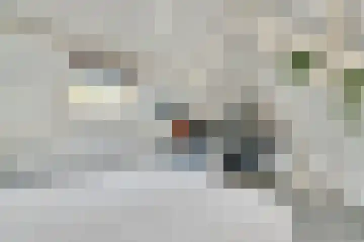 Kamperfoelie 3 Nijverdal thumbnail 25