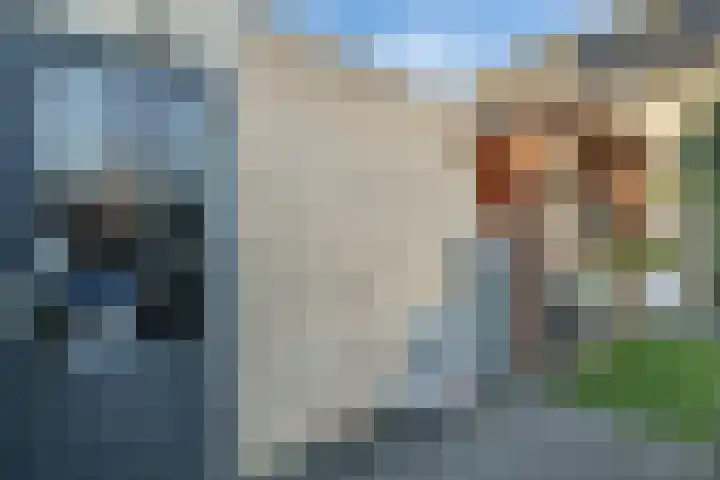 Kamperfoelie 3 Nijverdal thumbnail 26
