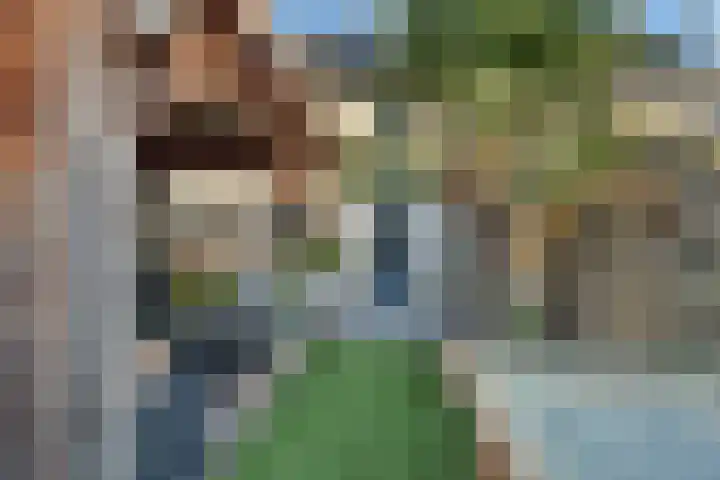 Kamperfoelie 3 Nijverdal thumbnail 27