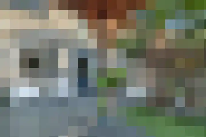 Kamperfoelie 3 Nijverdal thumbnail 28