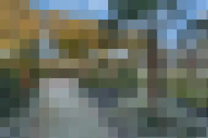 Kamperfoelie 3 Nijverdal thumbnail 29