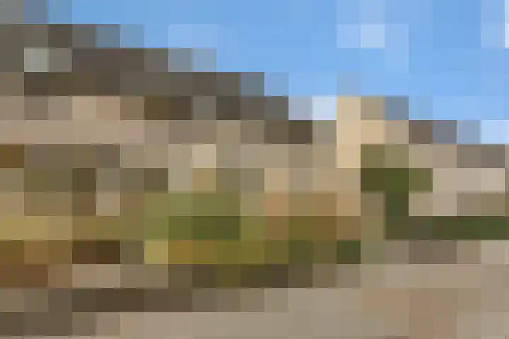 Kamperfoelie 3 Nijverdal thumbnail 30