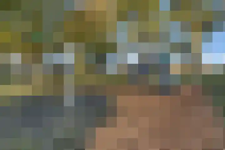 Kamperfoelie 3 Nijverdal thumbnail 31