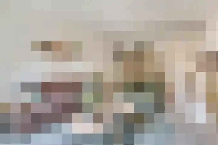 Kamperfoelie 3 Nijverdal thumbnail 4
