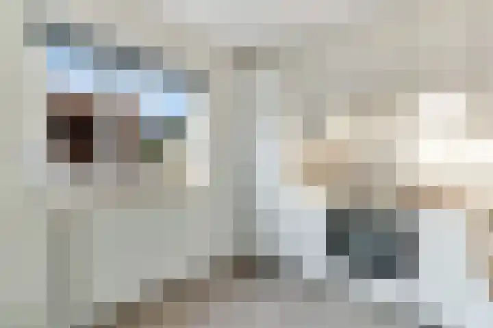 Kamperfoelie 3 Nijverdal thumbnail 9