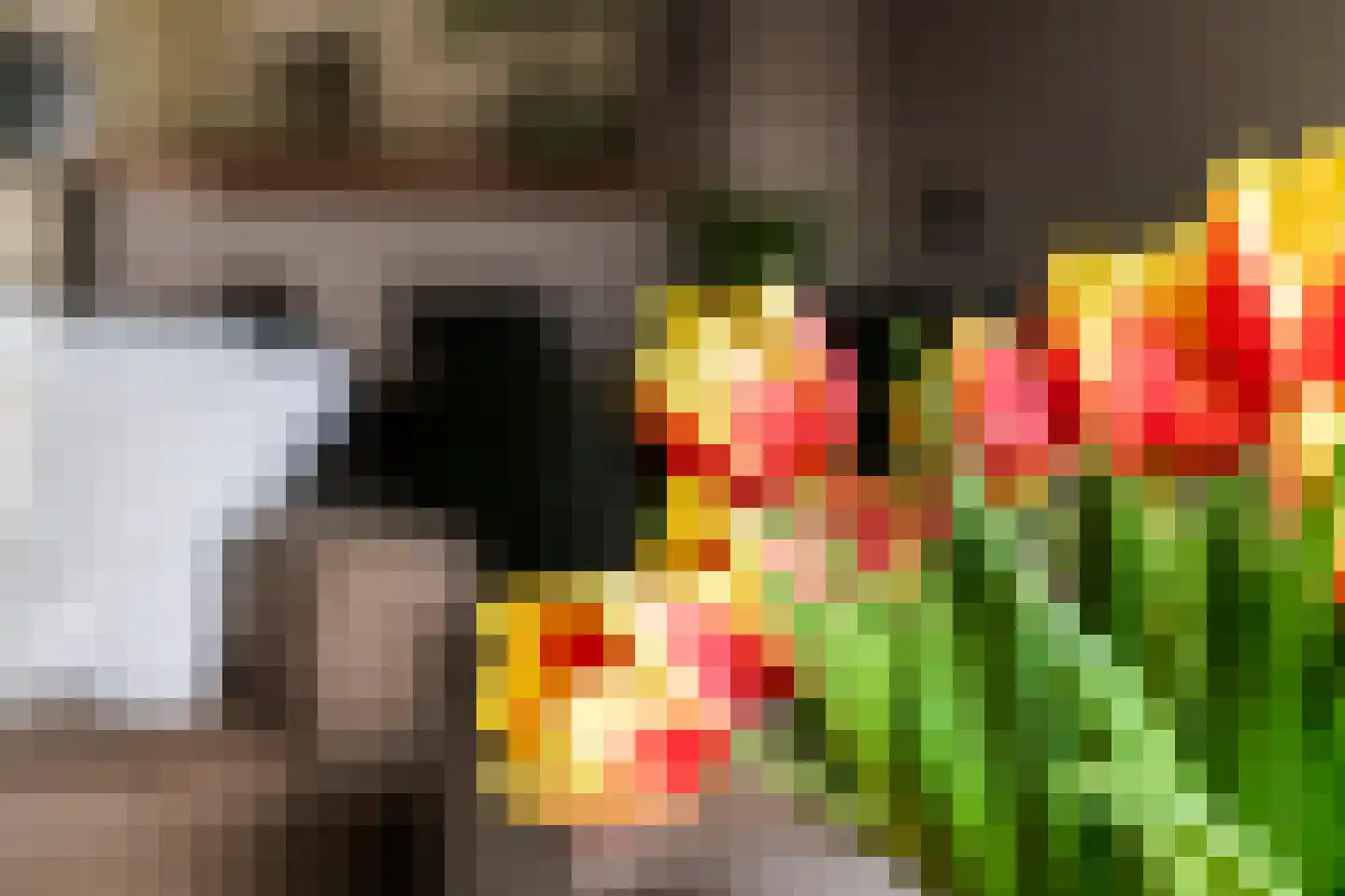 Kamperfoelie 30 Tiel thumbnail 10