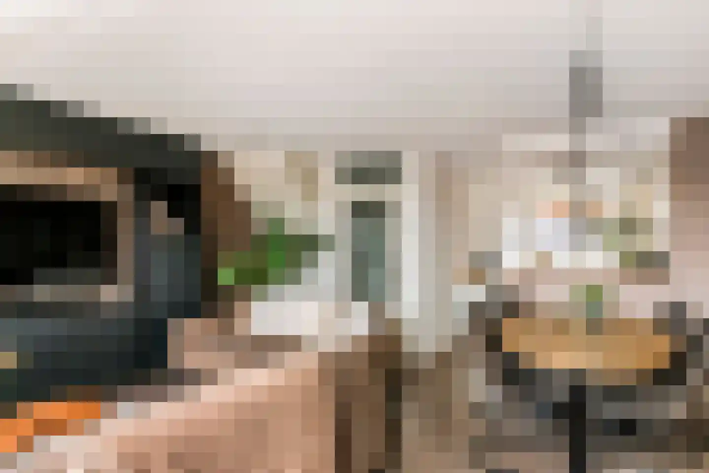 Kamperfoelie 30 Tiel thumbnail 11