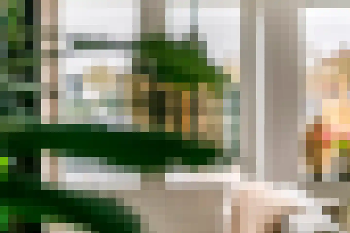 Kamperfoelie 30 Tiel thumbnail 13