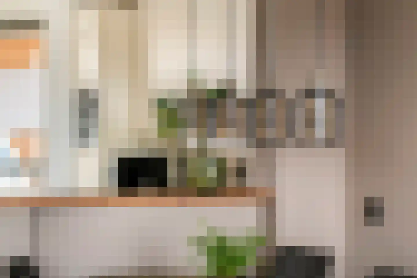 Kamperfoelie 30 Tiel thumbnail 14