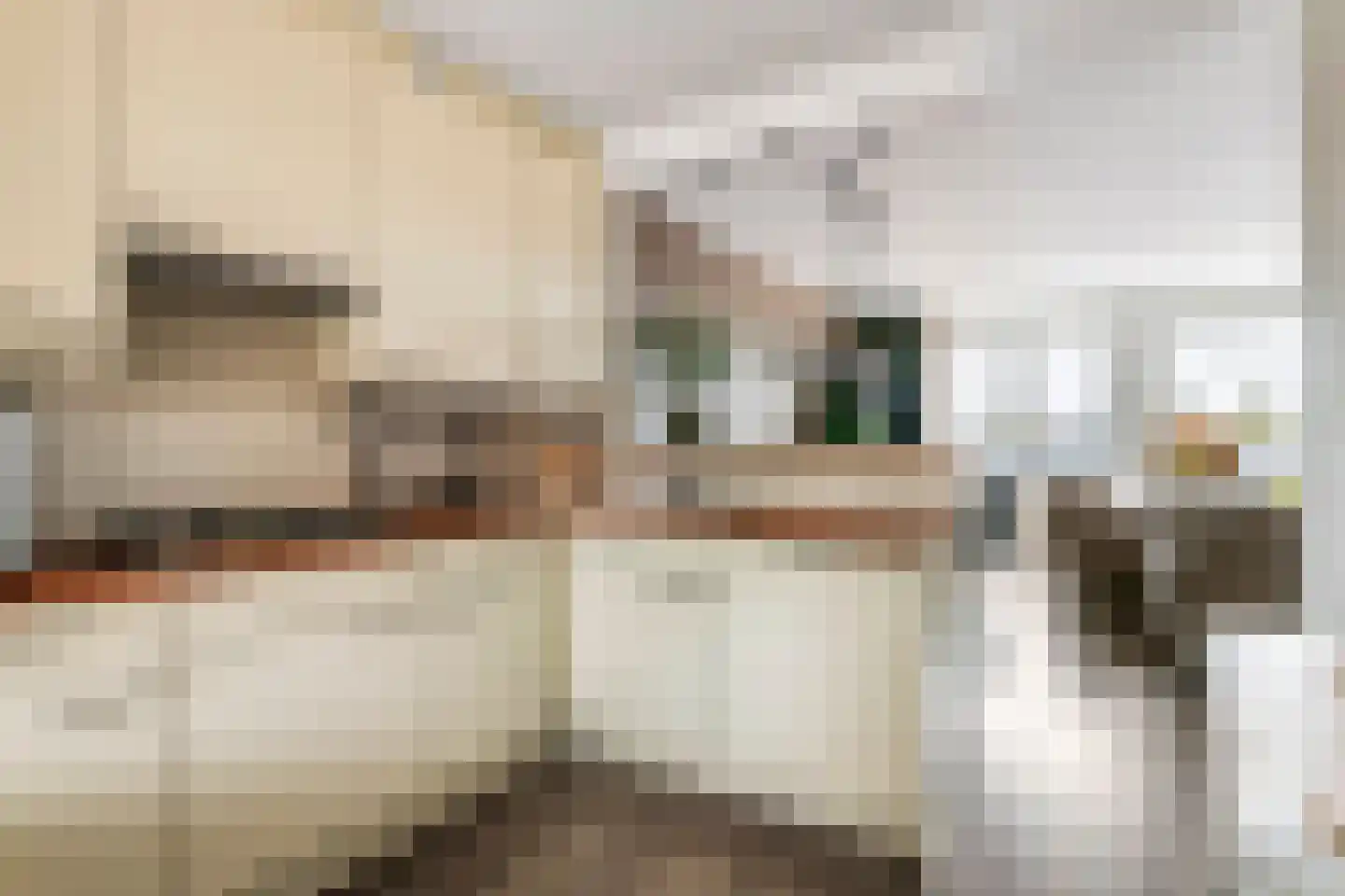 Kamperfoelie 30 Tiel thumbnail 19