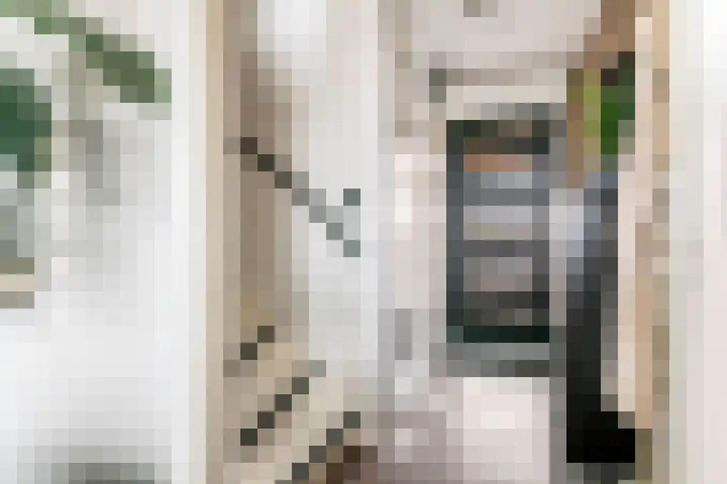 Kamperfoelie 30 Tiel thumbnail 20