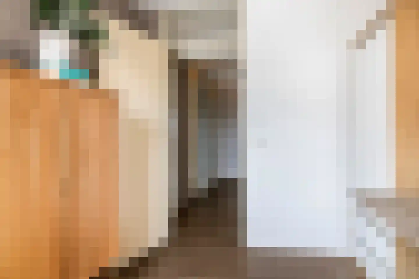 Kamperfoelie 30 Tiel thumbnail 26