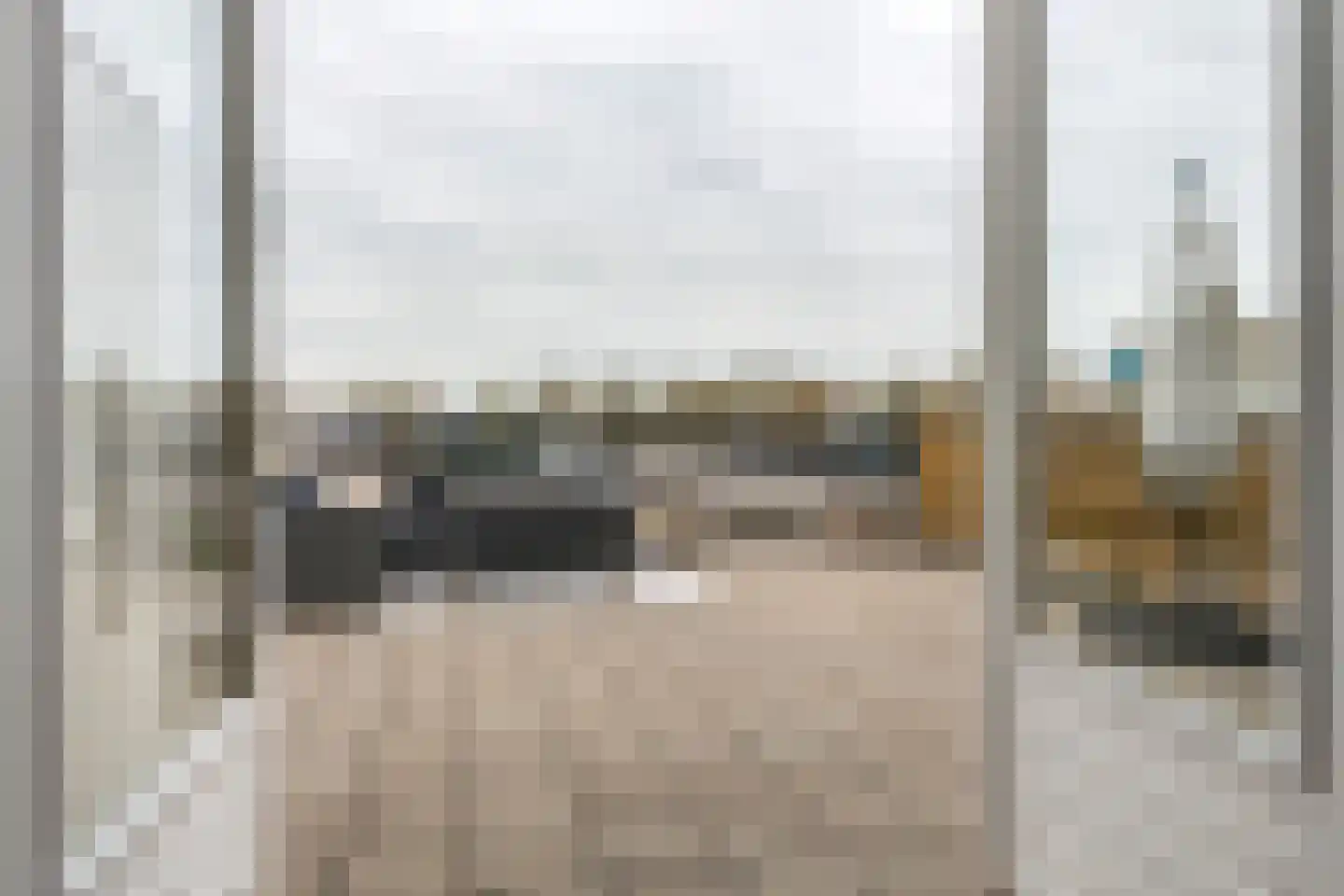 Kamperfoelie 30 Tiel thumbnail 34