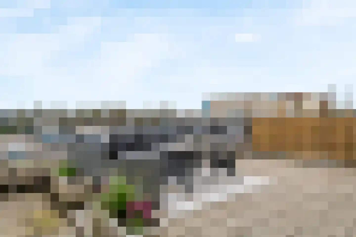 Kamperfoelie 30 Tiel thumbnail 36
