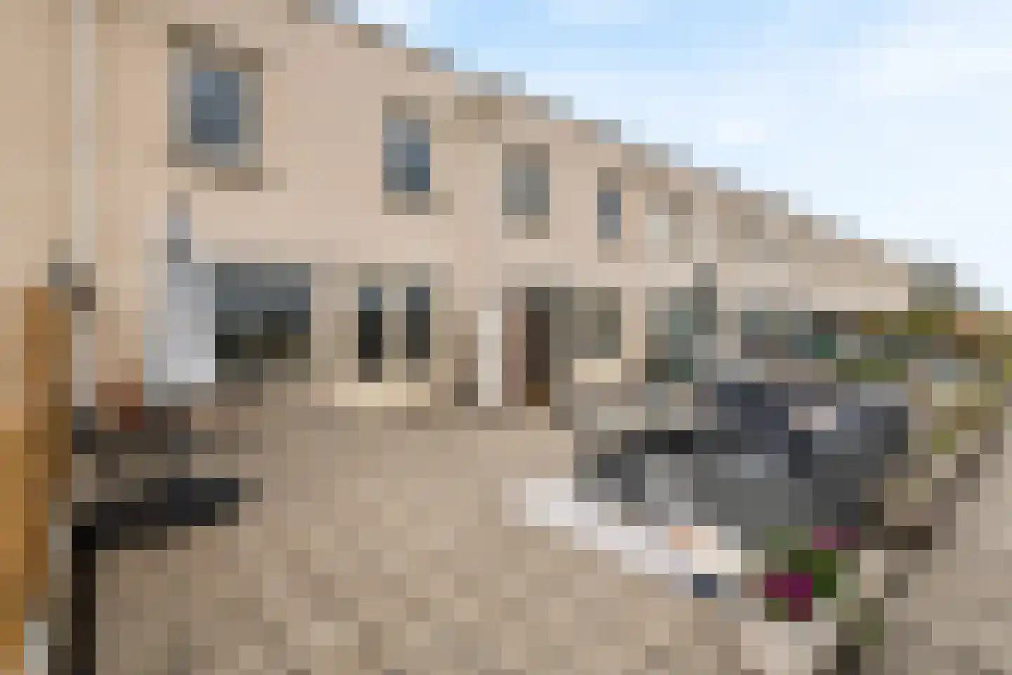 Kamperfoelie 30 Tiel thumbnail 38