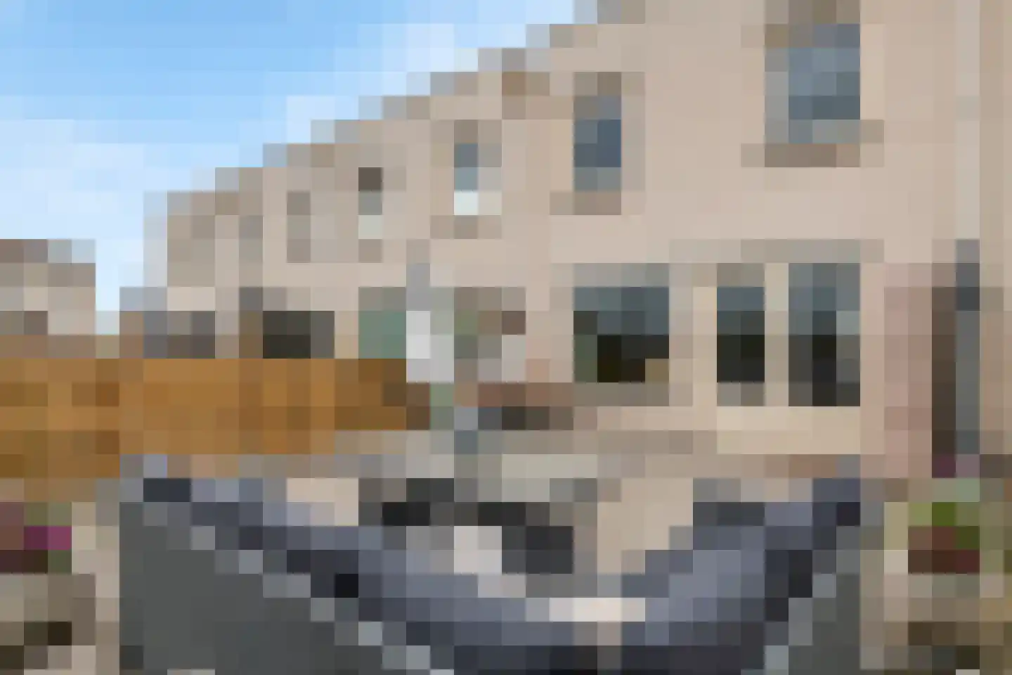 Kamperfoelie 30 Tiel thumbnail 39