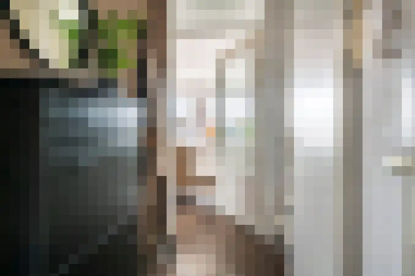 Kamperfoelie 30 Tiel thumbnail 4