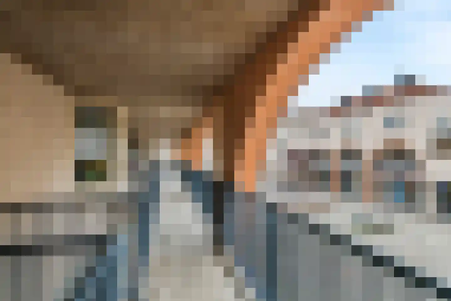 Kamperfoelie 30 Tiel thumbnail 42