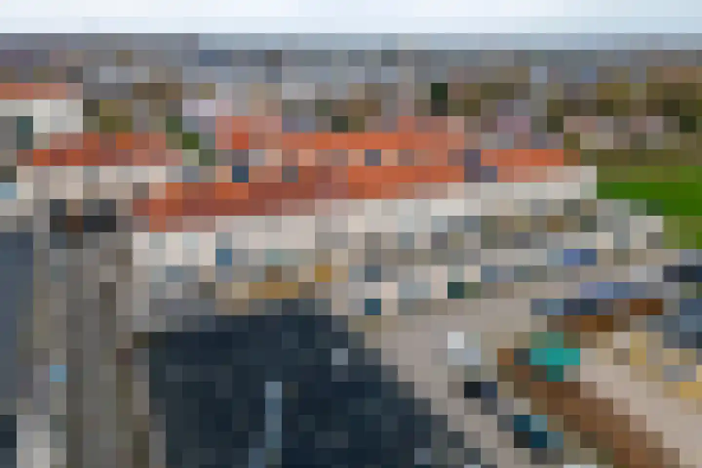 Kamperfoelie 30 Tiel thumbnail 48
