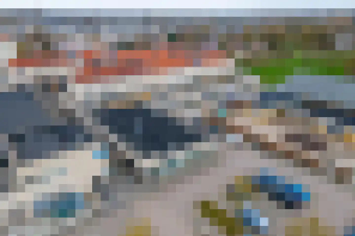 Kamperfoelie 30 Tiel thumbnail 50