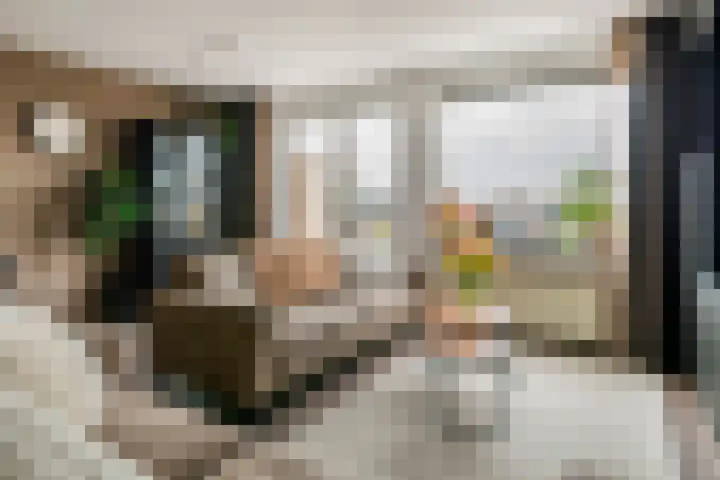 Kamperfoelie 30 Tiel thumbnail 6