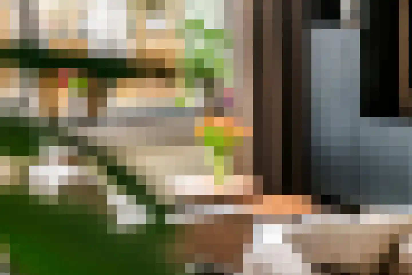 Kamperfoelie 30 Tiel thumbnail 7