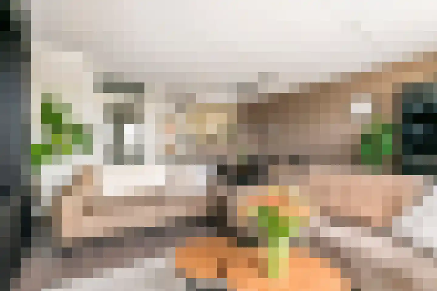 Kamperfoelie 30 Tiel thumbnail 9