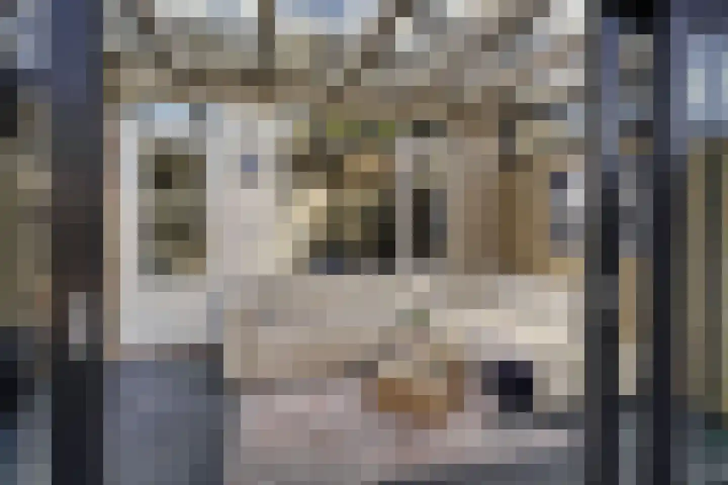 Kamperfoelie 35 Rijnsburg thumbnail 18