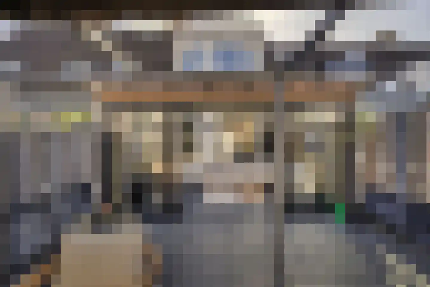 Kamperfoelie 35 Rijnsburg thumbnail 19