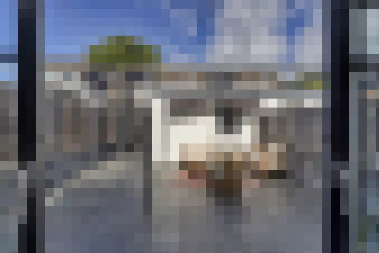 Kamperfoelie 35 Rijnsburg thumbnail 21