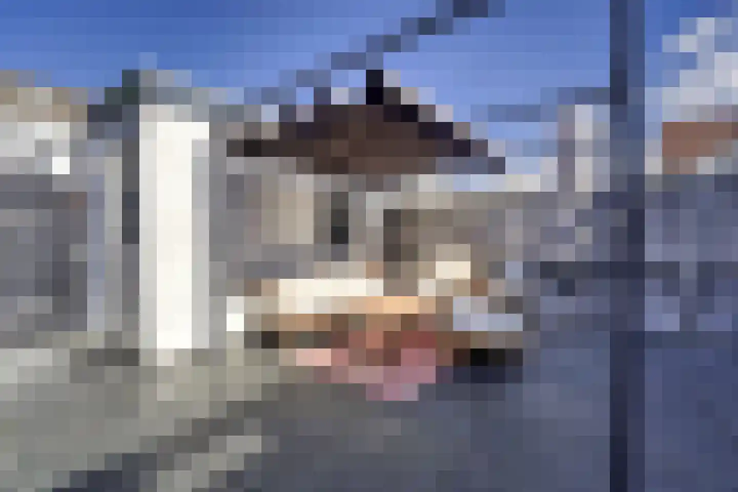 Kamperfoelie 35 Rijnsburg thumbnail 22