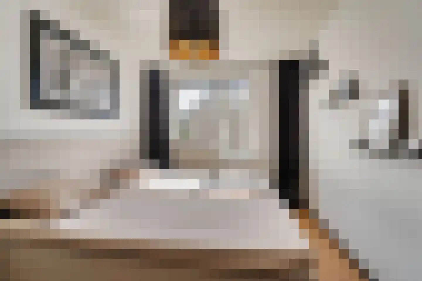 Kamperfoelie 35 Rijnsburg thumbnail 28