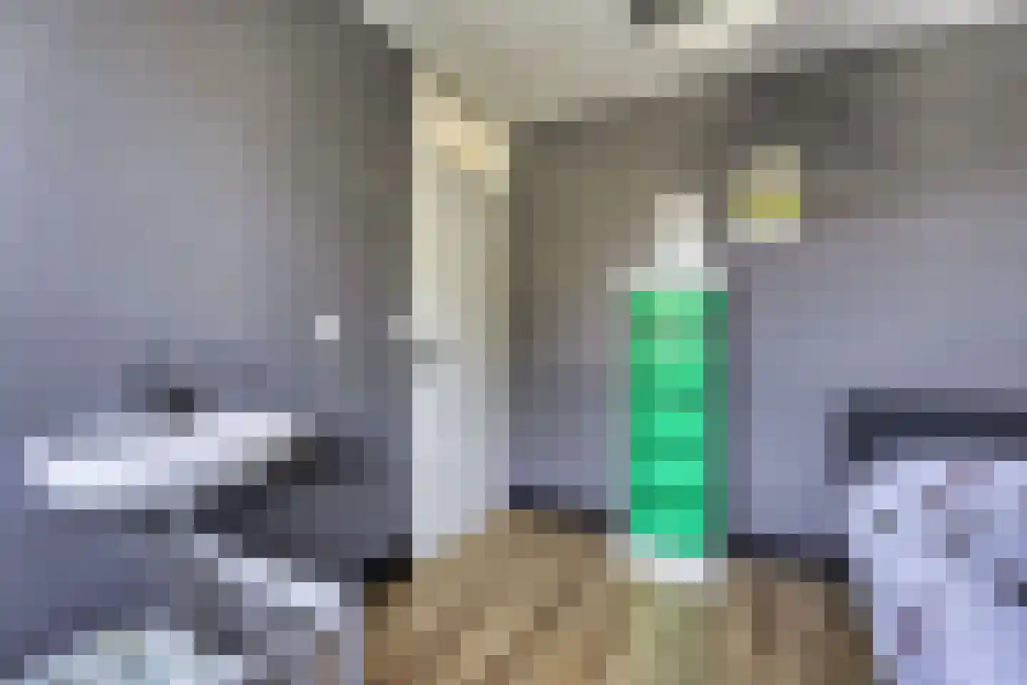 Kamperfoelie 35 Rijnsburg thumbnail 33