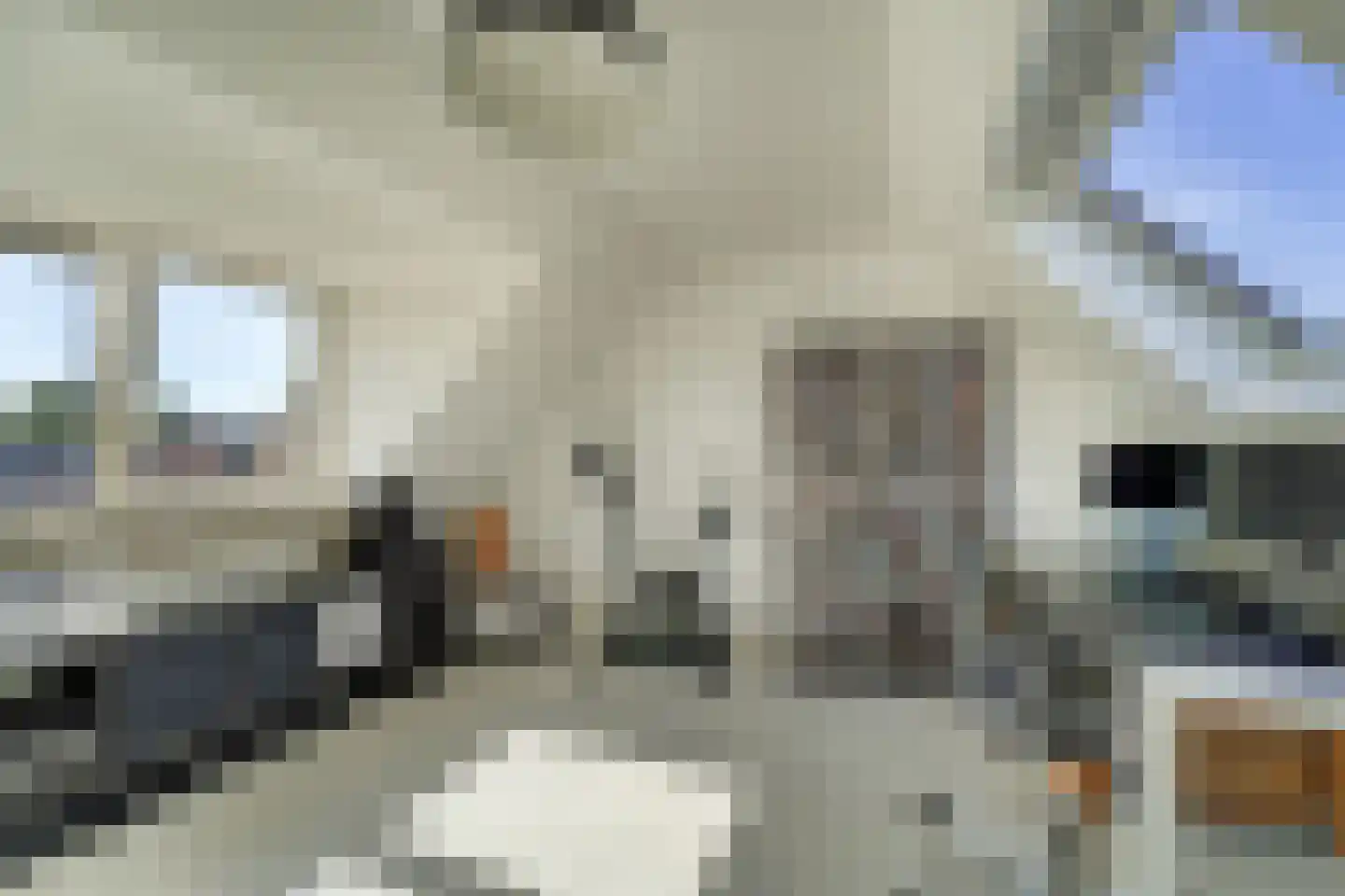 Kamperfoelie 35 Rijnsburg thumbnail 37