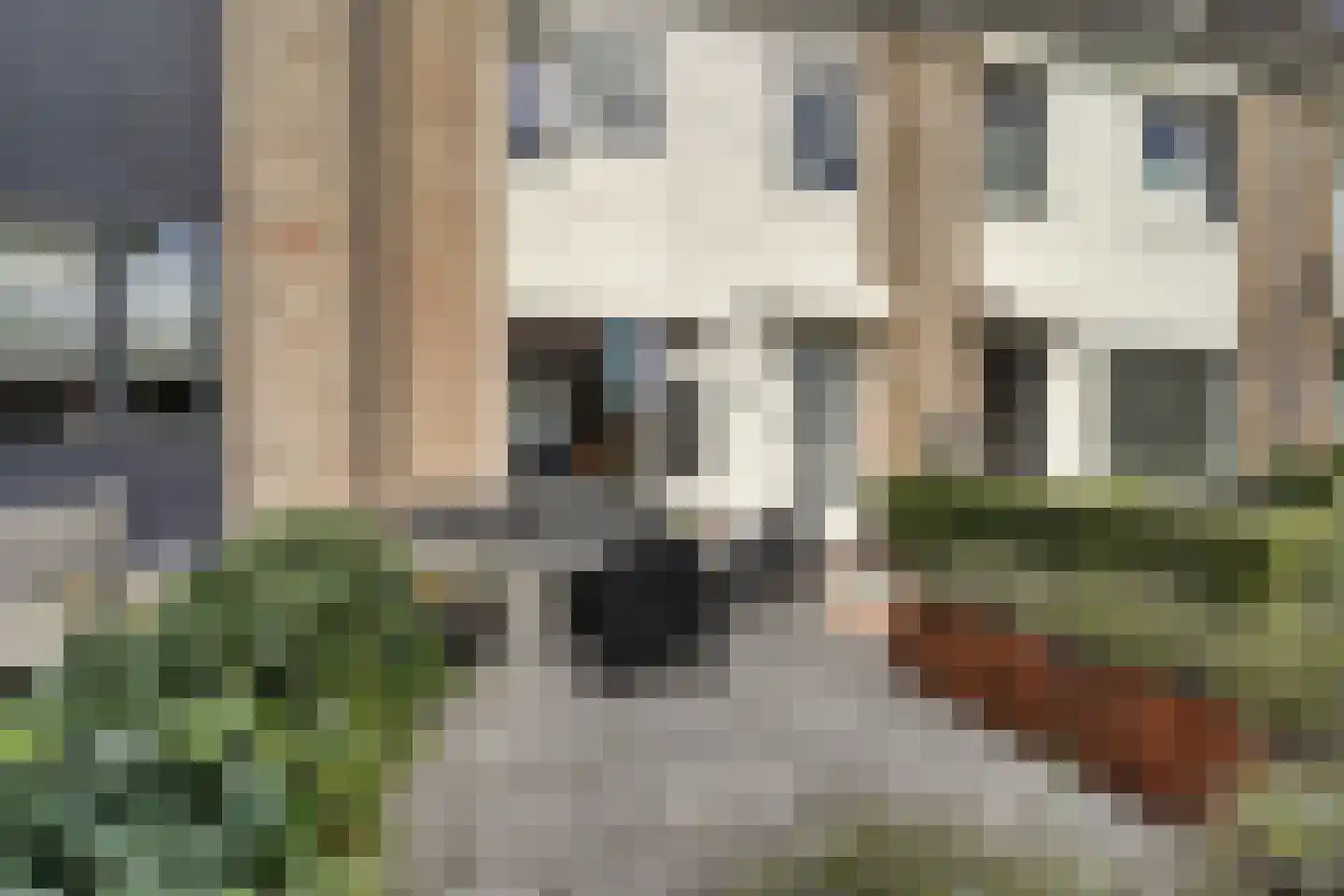 Kamperfoelie 35 Rijnsburg thumbnail 39