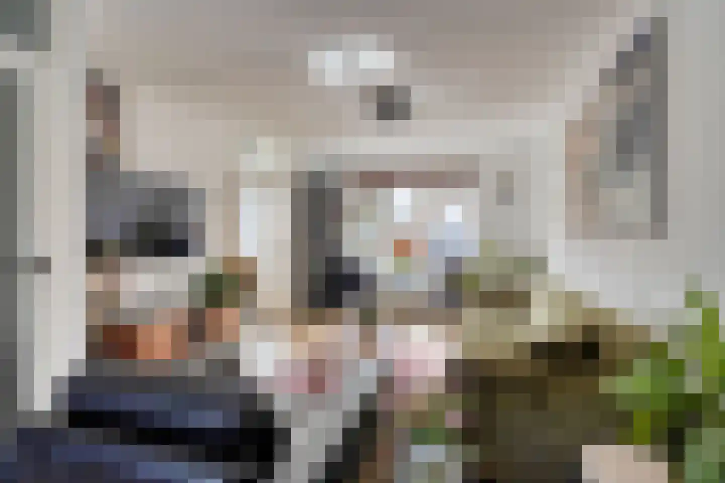 Kamperfoelie 35 Rijnsburg thumbnail 4