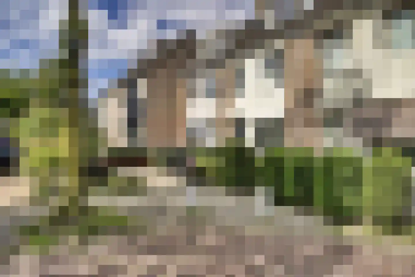 Kamperfoelie 35 Rijnsburg thumbnail 41