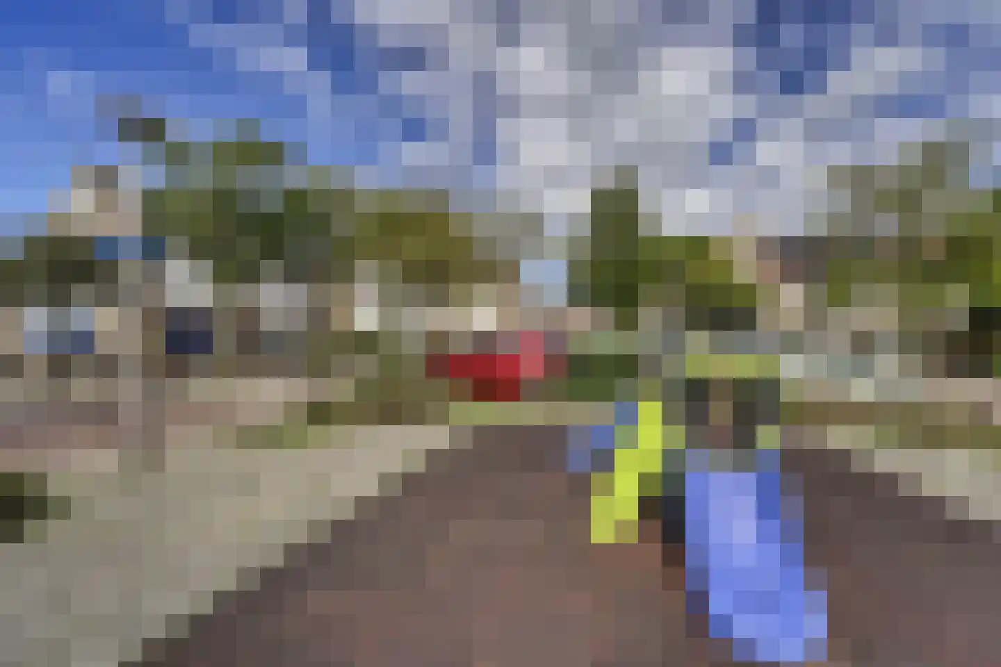 Kamperfoelie 35 Rijnsburg thumbnail 43