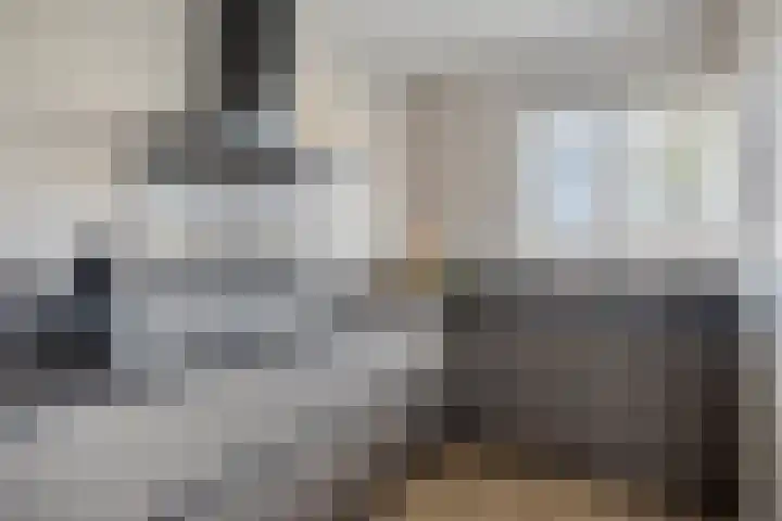 Kamperfoelie 37 Oldenzaal thumbnail 11