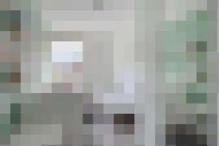 Kamperfoelie 37 Oldenzaal thumbnail 18
