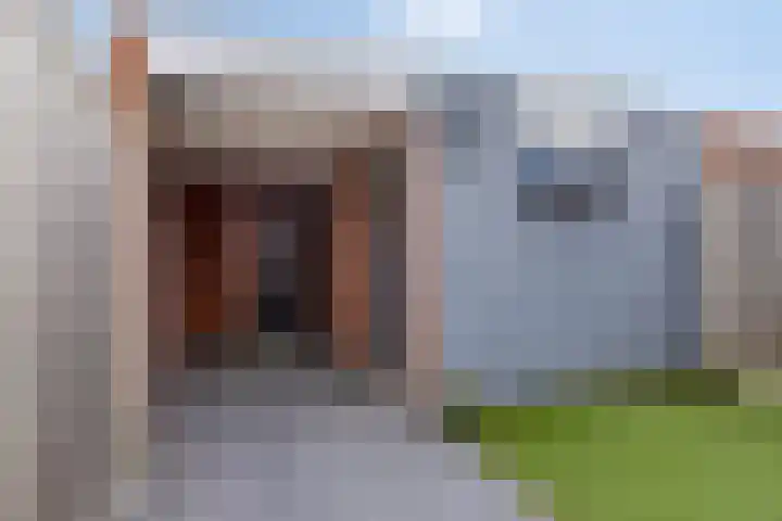 Kamperfoelie 37 Oldenzaal thumbnail 26