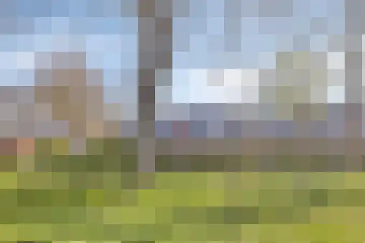 Kamperfoelie 37 Oldenzaal thumbnail 28