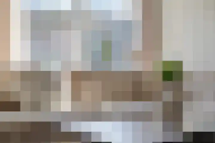 Kamperfoelie 37 Oldenzaal thumbnail 4