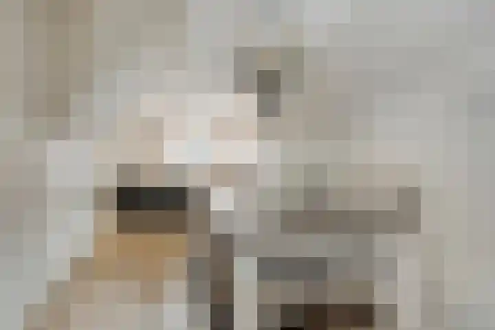Kamperfoelie 37 Oldenzaal thumbnail 7