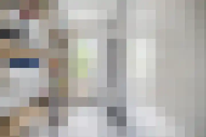Kamperfoelie 39 Cuijk thumbnail 14