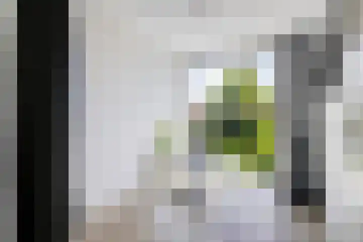 Kamperfoelie 39 Cuijk thumbnail 21